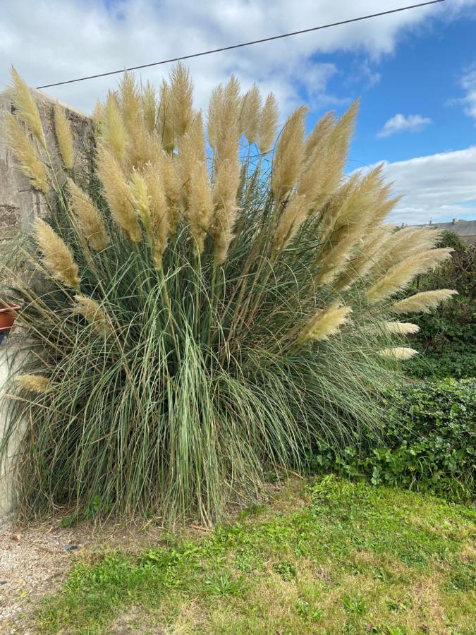 Gite Du Bois Pennier, Au Calme , A 15 Km Des Plages Du Debarquement Picauville ภายนอก รูปภาพ